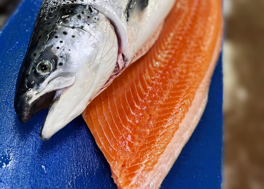 Icon for Farmed fish