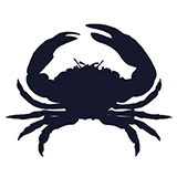 Icon for Developed...