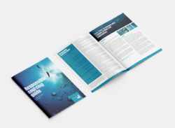 Taylor Brochure 